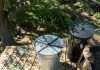 Humane Ways to Get Rid of Crows: Effective Backyard Solutions Visual representation of Humane Ways to Get Rid of Crows: Effective Backyard Solutions