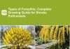 10 Types of Forsythia: Complete Growing Guide for Shrubs Enthusiasts