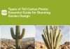 10 Types of Tall Cactus Plants: Essential Guide for Stunning Garden Design