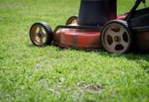 When to Stop Mowing Lawn in Fall: The Simple 50F Rule When to stop mowing lawn in fall: a red and black push lawn mower cutting green grass
