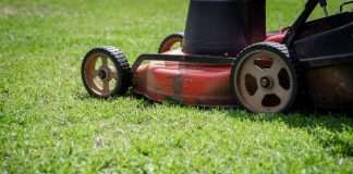 When to Stop Mowing Lawn in Fall: The Simple 50F Rule When to stop mowing lawn in fall: a red and black push lawn mower cutting green grass