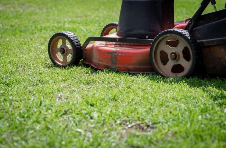 When to Stop Mowing Lawn in Fall: The Simple 50F Rule When to stop mowing lawn in fall: a red and black push lawn mower cutting green grass
