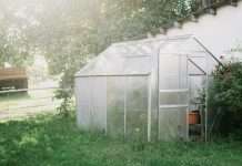 How to Heat a Greenhouse in Winter for Free: 5 Safe Methods How to heat a greenhouse in winter for free: a small garden greenhouse in the middle of a backyard