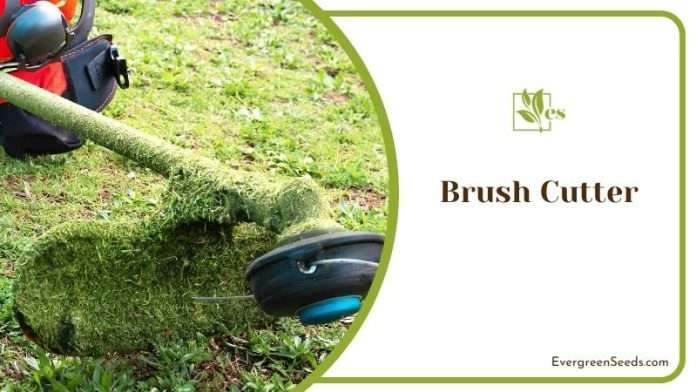 6 Alternative To String Trimmer: Useful Common Options - Evergreen Seeds